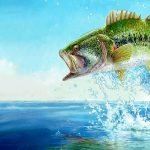 Fishing Sim World Bass Pro Shops Edition Cover