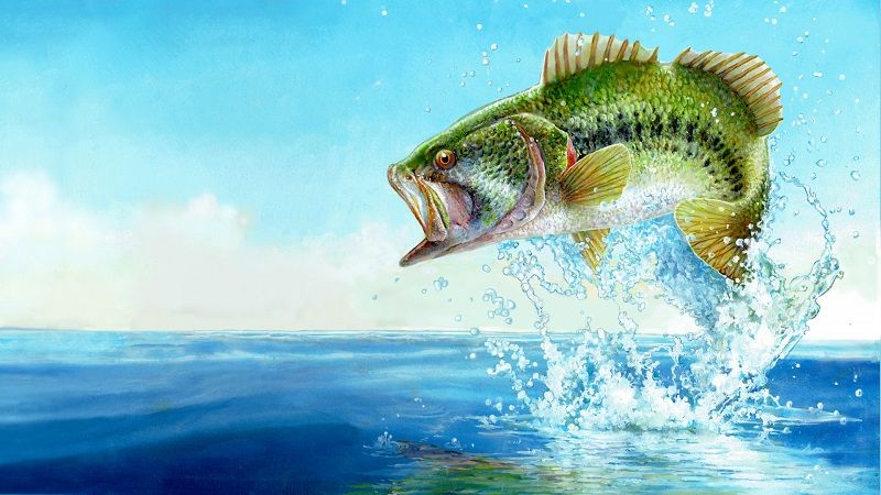 FishingSimWorldBassProShopsEdition-compressed