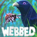 Webbed cover