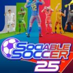 Sociable Soccer 25 cover